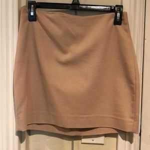 Express Mini Skirt